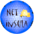 Netinsula